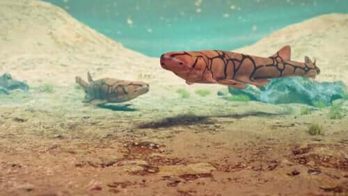 O segredo dos tubarões que brilham no escuro