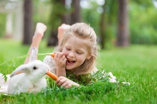 a terapia com coelhos