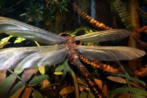 O reinado dos insetos gigantes