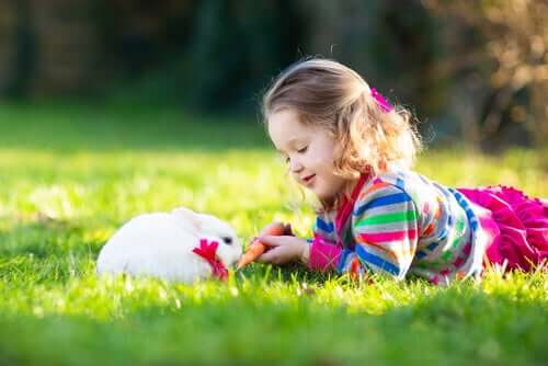 Em que consiste a terapia com coelhos?