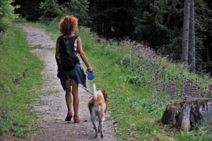 Cinco dicas para acampar com um cachorro