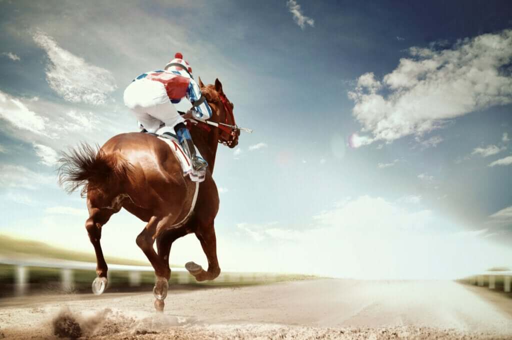 As doenças mais frequentes em cavalos de competição