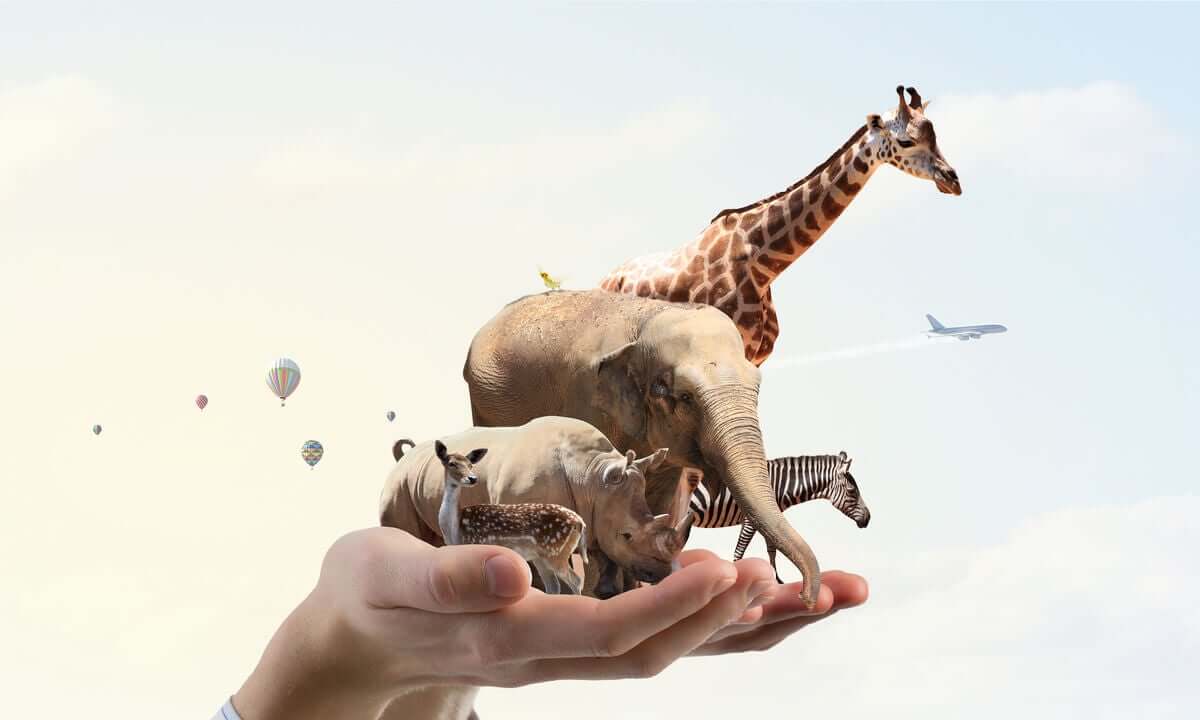 Um reconhecimento do trabalho de quem luta pelos animais