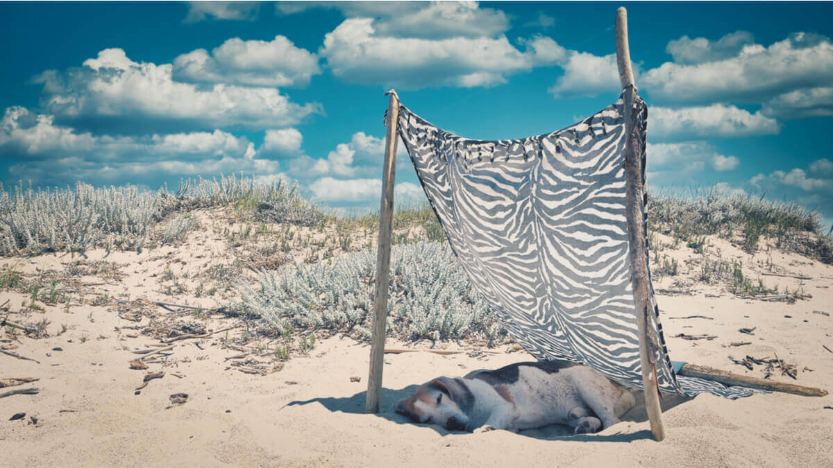 Por que o sol pode fazer mal?