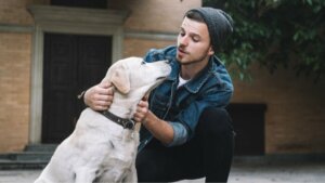 O que um cachorro sente quando olha para você?