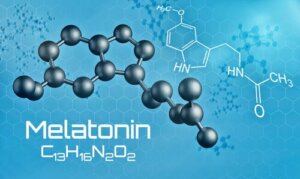 Melatonina para cães: potenciais efeitos colaterais