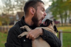 Os cães percebem o estresse dos seus tutores