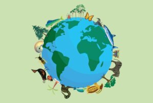 Quantas espécies animais existem na Terra?