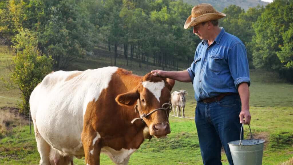 Micotoxinas e produção animal