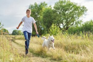 Na Alemanha, será obrigatório passear com os cães duas vezes por dia