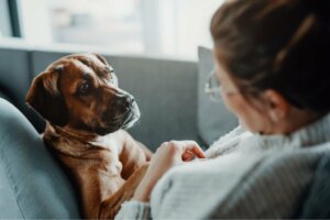 Doenças que causam dificuldade respiratória em cães