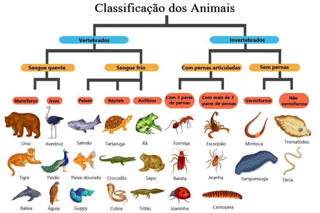 Quantas espécies animais existem na Terra? - Meus Animais