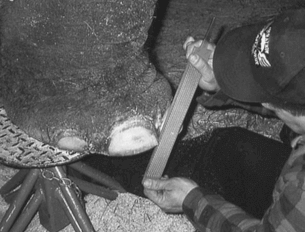 Patologias comuns que afetam as unhas dos pés