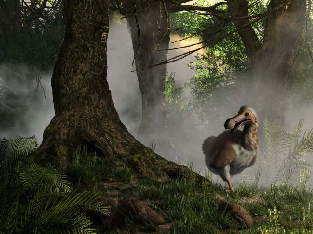 As espécies podem ser recuperadas da extinção?