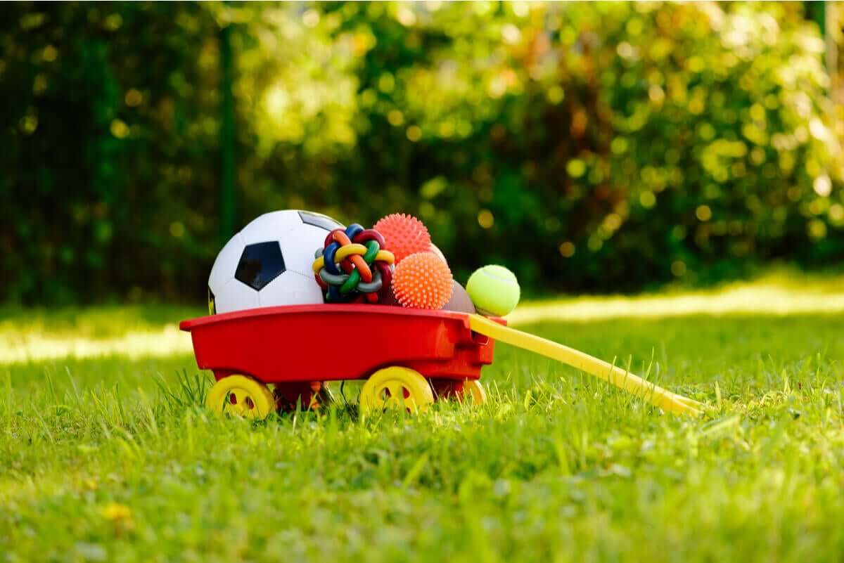 Estimulação mental em cães