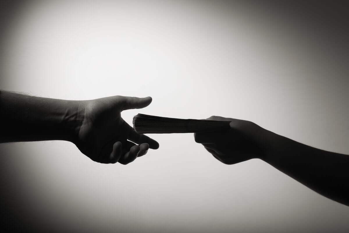 Milhares de esquilos-voadores vítimas do tráfico ilegal na Flórida