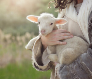 Diarreia neonatal em pequenos ruminantes