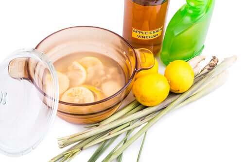 Melhores alternativas antiparasitárias