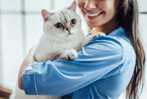 Acromegalia em gatos: sintomas e tratamentos