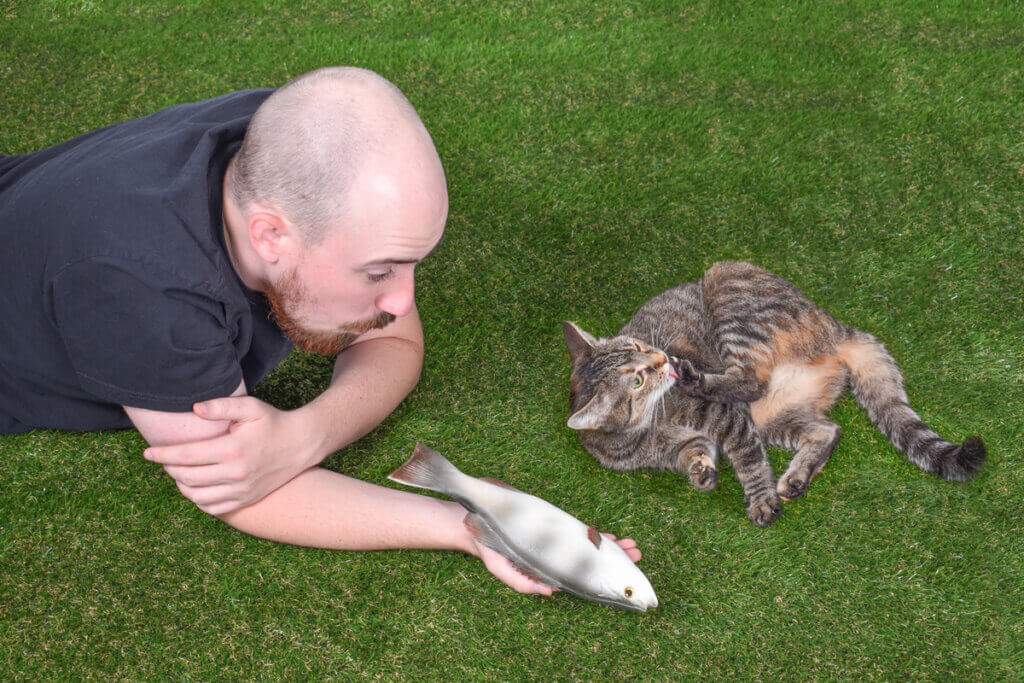 A interação social dos gatos: quatro fatos para entendê-la