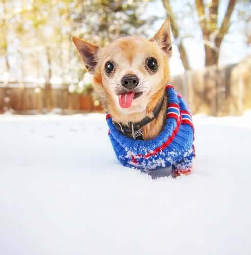 Fatores não patológicos
