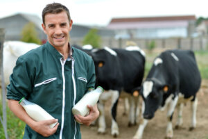 A lactação em animais de fazenda