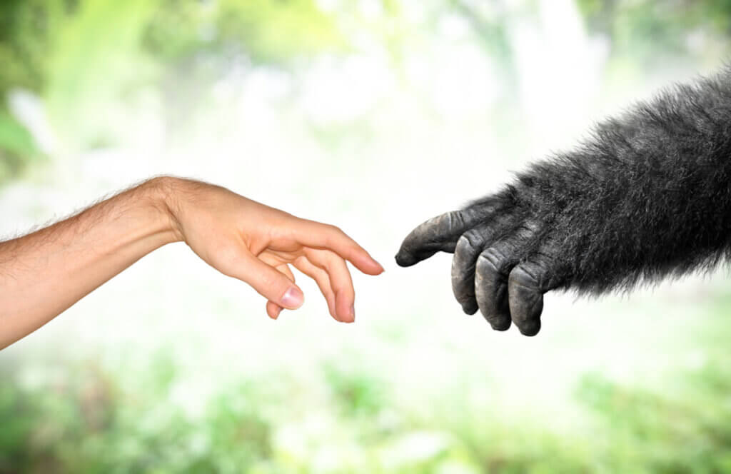 Lamarckismo nos tempos modernos