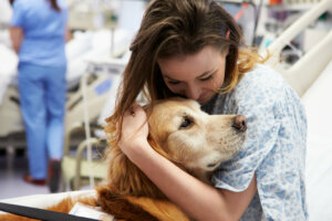 Os efeitos da terapia animal em humanos
