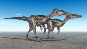 Velociraptor: características e curiosidades