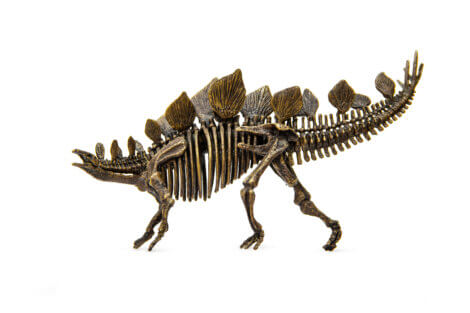 O esqueleto de um estegossauro.