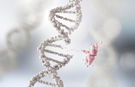 Um DNA e sua mutação.