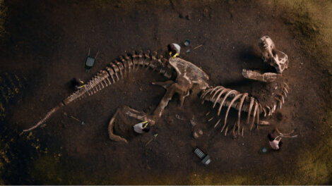 Exemplo dos dinossauros mais antigos.