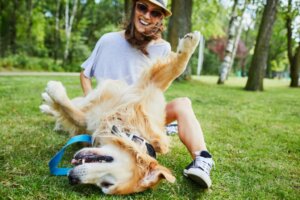 Por que os cães gostam tanto de carinho na barriga?