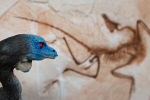 6 dinossauros da Europa