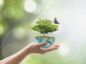 O que é um nicho ecológico?