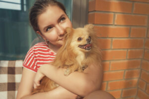 Meu cachorro tem medo da rua: por que e como agir?