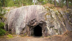 6 animais encontrados na caverna de Movile