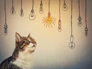 Os animais podem pensar?