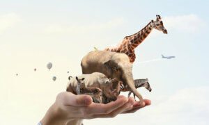 5 ações que contribuem para a proteção dos animais e do planeta