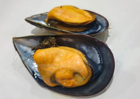 Alguns mexilhões cozidos.