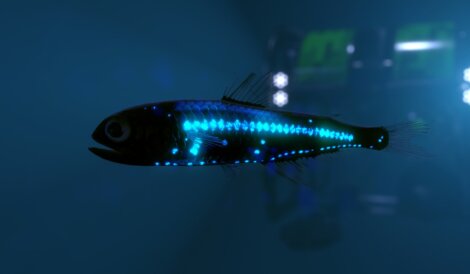 Um peixe abissal bioluminescente.