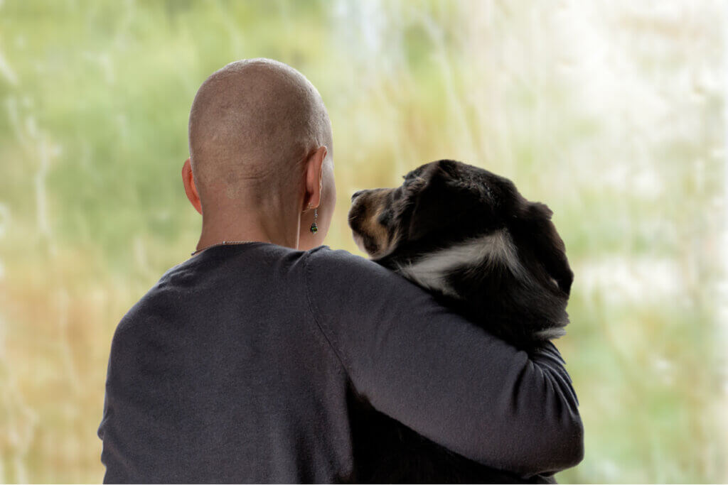 5 valores que você pode aprender com os animais