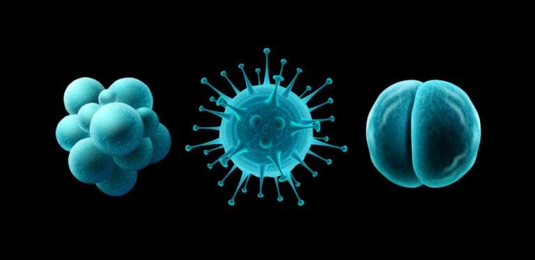 O oceano contém pelo menos 200 000 novos tipos diferentes de vírus, segundo a ciência