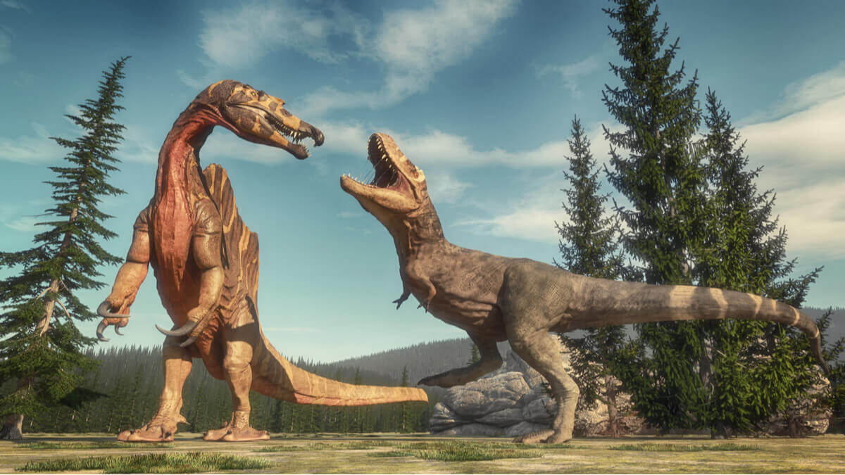 Uma luta entre dinossauros.
