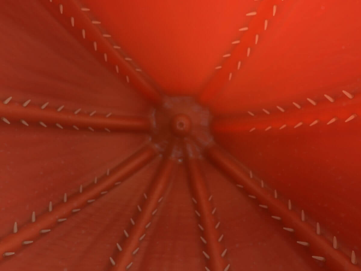 Uma lula-vampira-do-inferno vista de baixo.