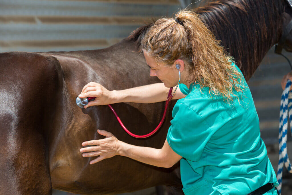 O que é adenite equina?