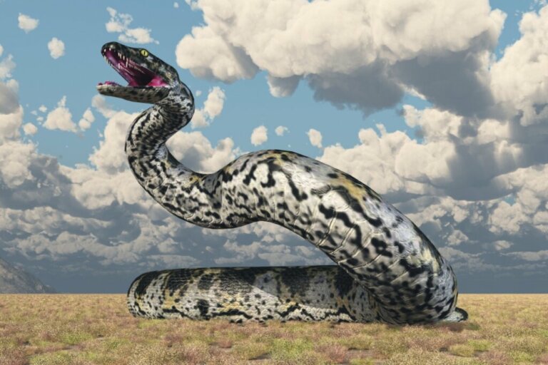Titanoboa: a maior cobra do mundo