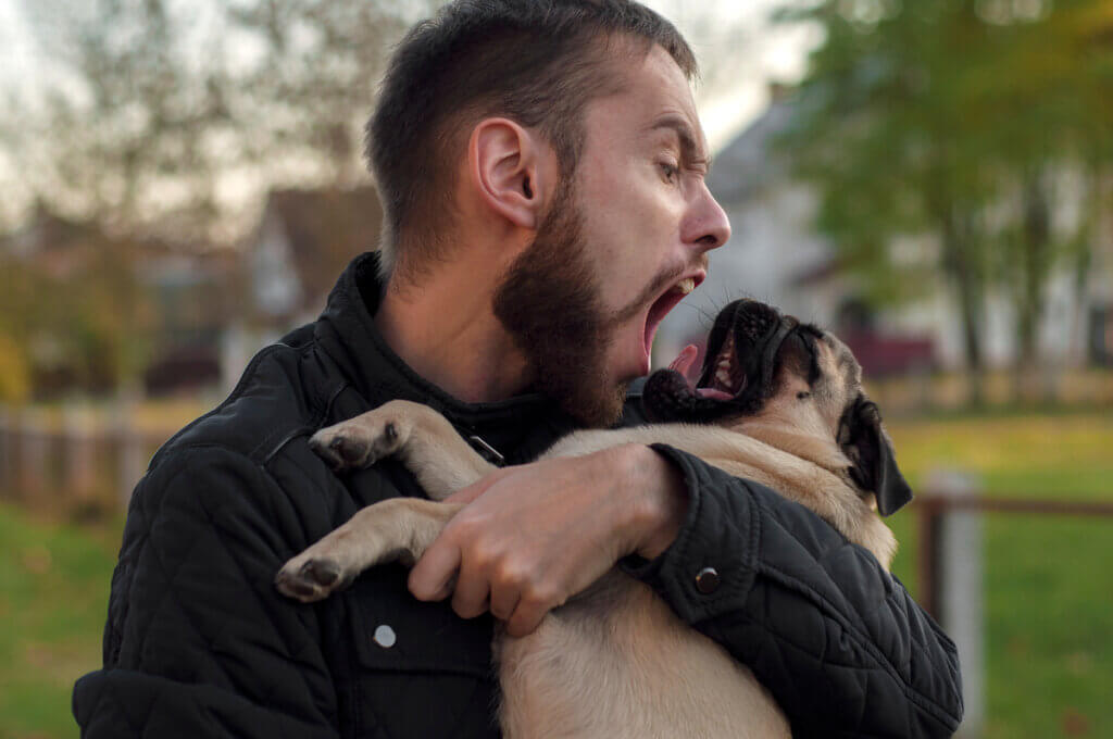Um tutor gritando com seu cachorro.