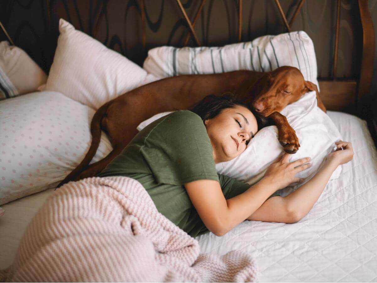 Motivos que levam o cão a dormir ao seu lado