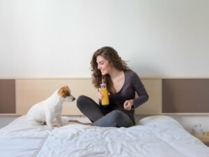 Os cães podem comer mamão?